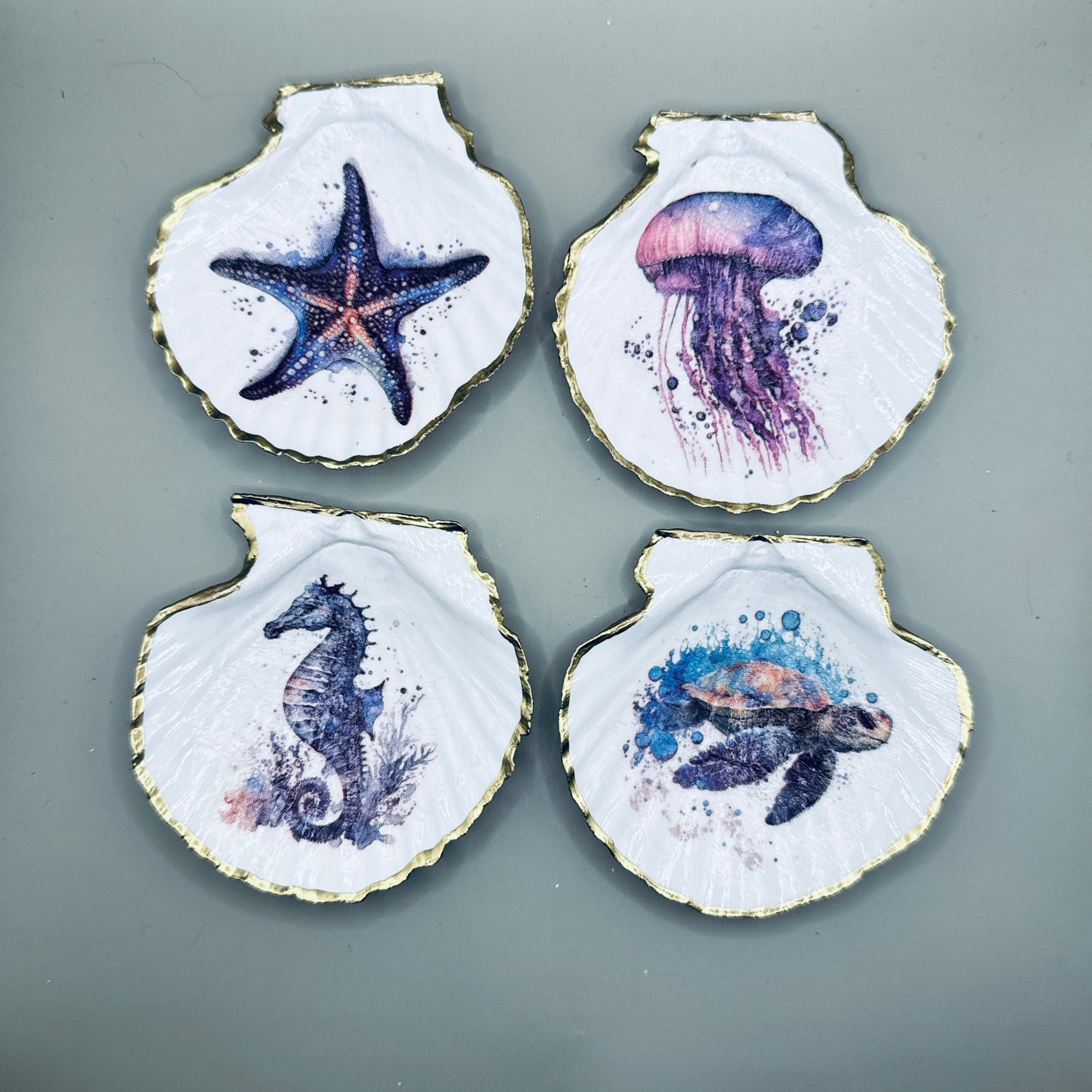 Watercolor Sea Life Shell Magnets