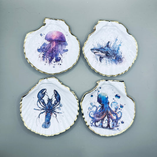 Watercolor Ocean Creatures Shell Magnets
