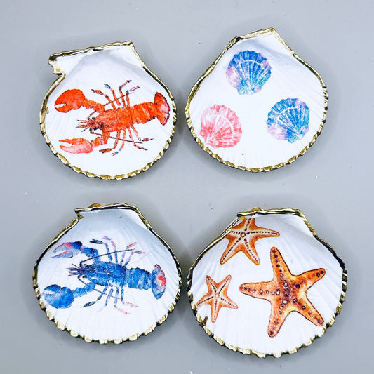 Lobster & Starfish Mix Shell Magnets