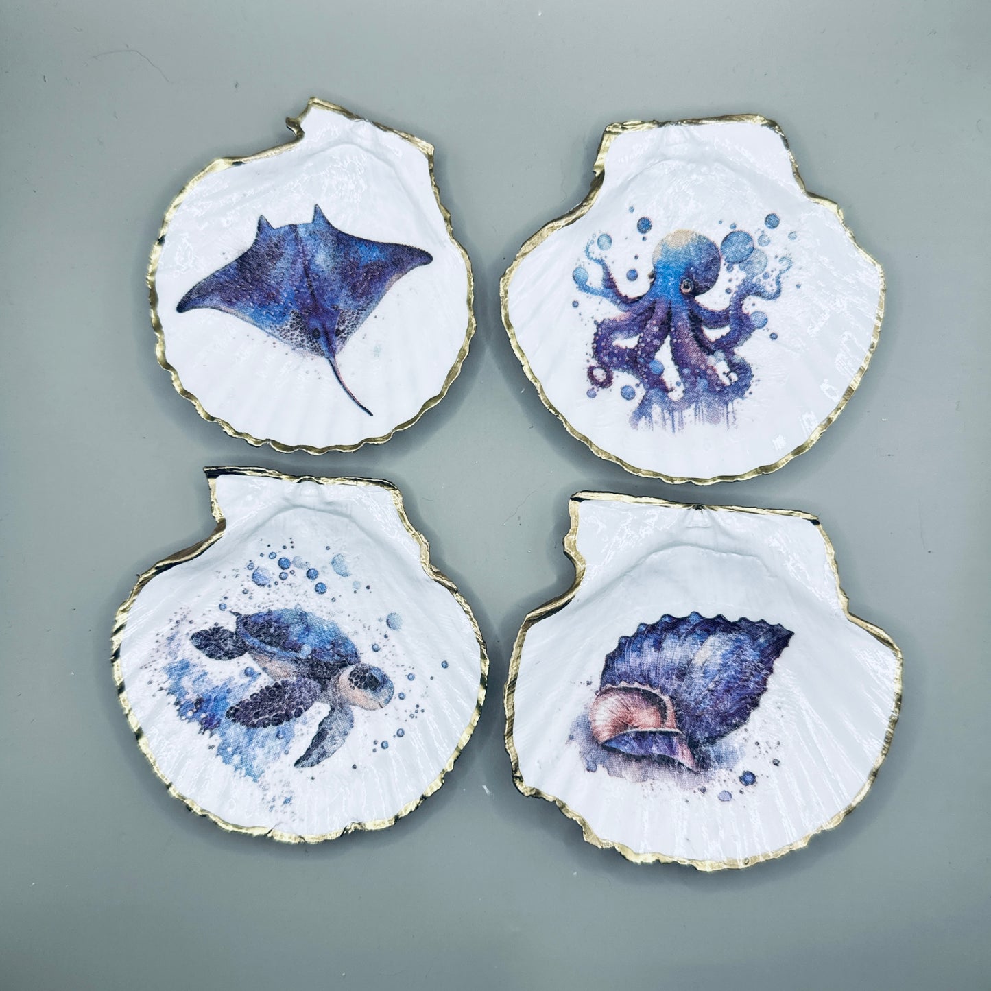 Watercolor Sea Life Shell Magnets II