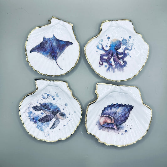 Watercolor Sea Life Shell Magnets II
