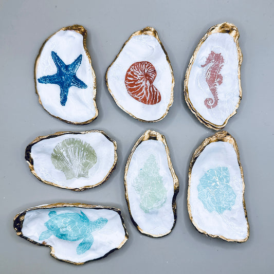 Blue & Rust Sea Creatures Shell Magnets