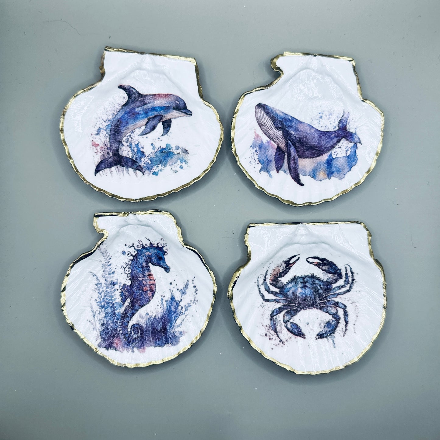Watercolor Ocean Animals Shell Magnets