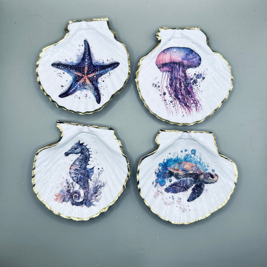 Watercolor Sea Life Shell Magnets